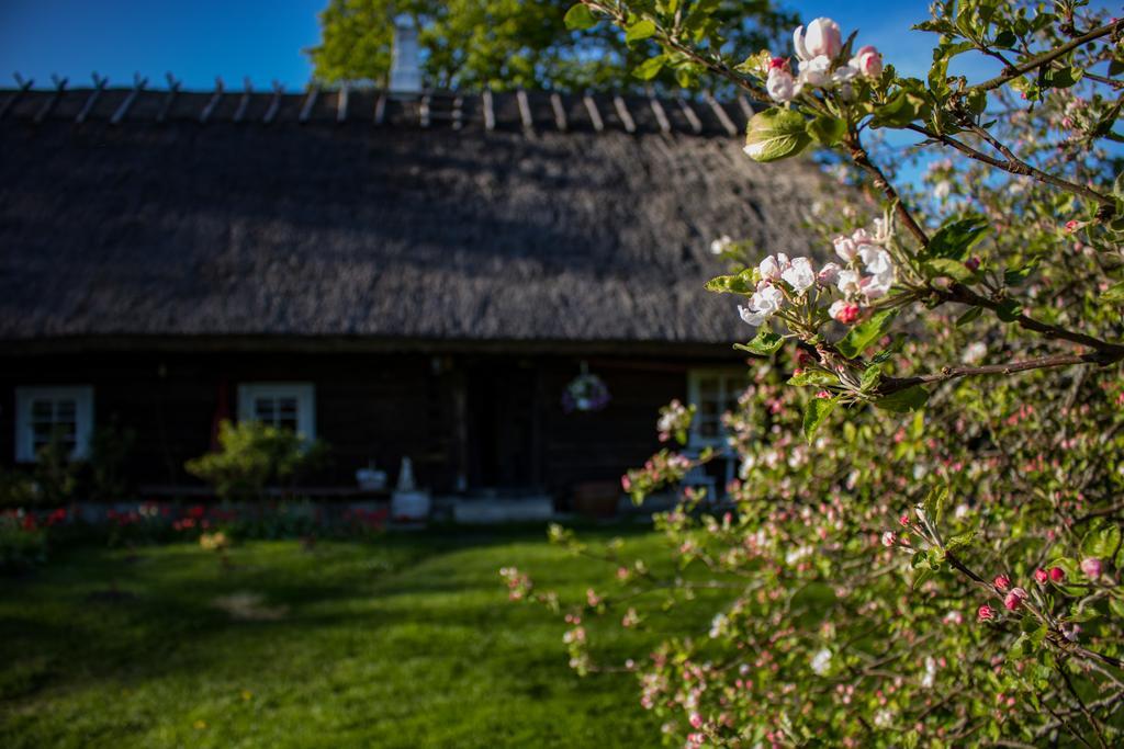 Willa Kuusetuka Tourism Farm Pahkla Zewnętrze zdjęcie