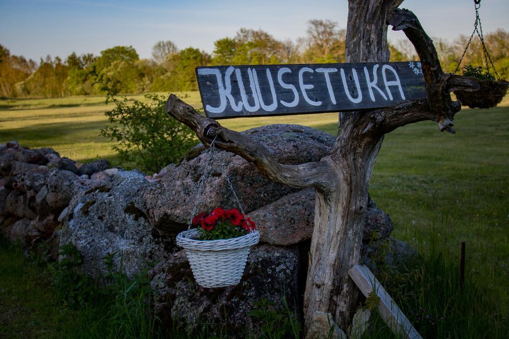 Willa Kuusetuka Tourism Farm Pahkla Zewnętrze zdjęcie