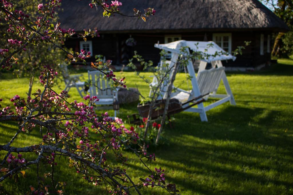 Willa Kuusetuka Tourism Farm Pahkla Zewnętrze zdjęcie