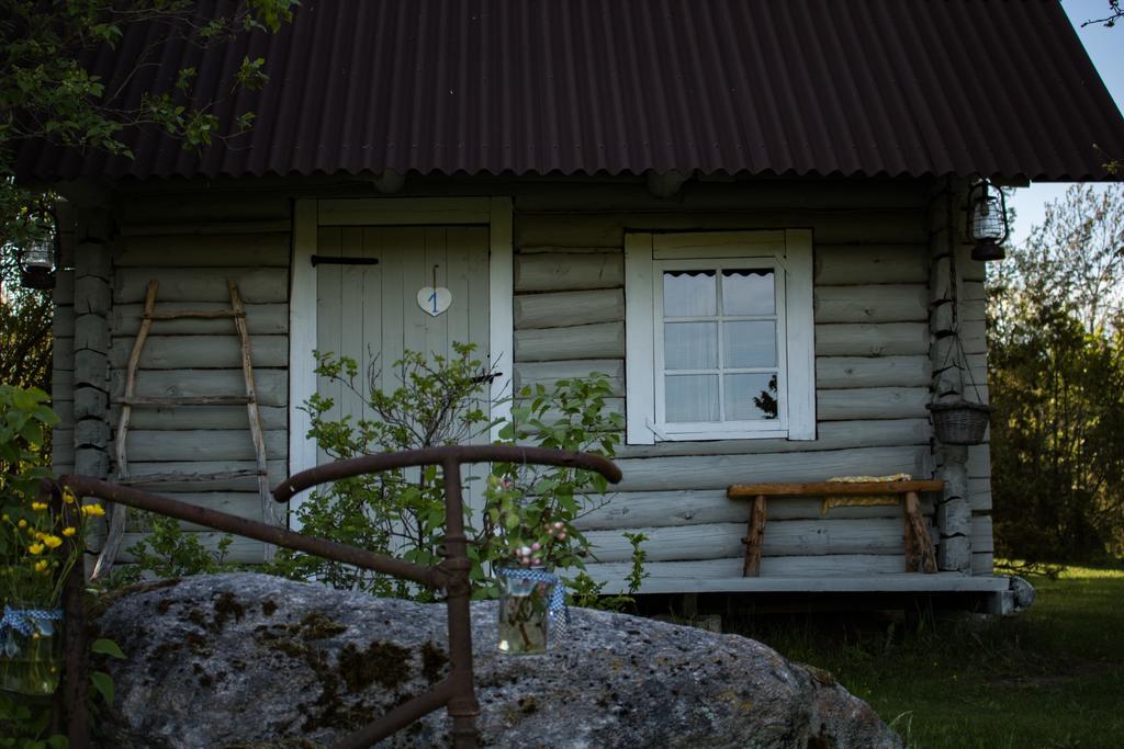 Willa Kuusetuka Tourism Farm Pahkla Zewnętrze zdjęcie