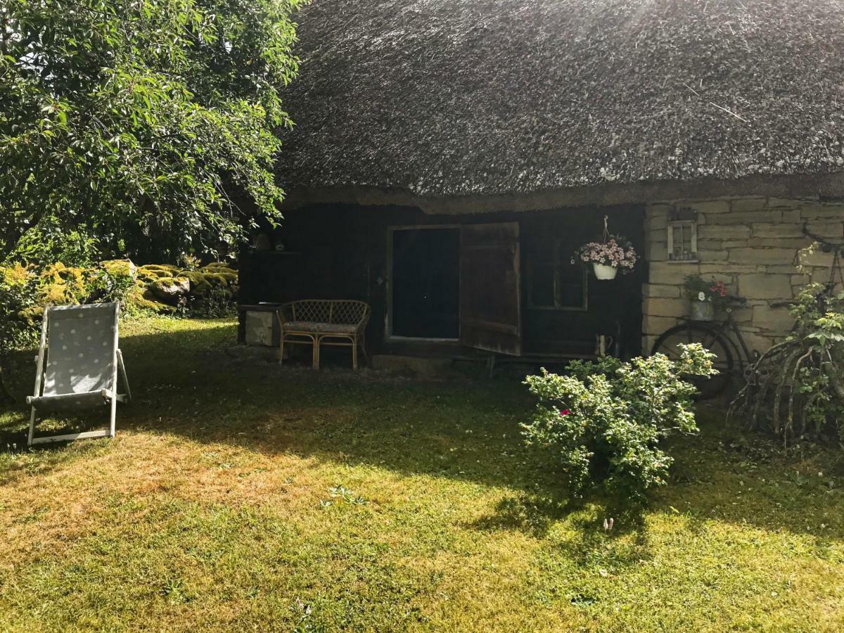 Willa Kuusetuka Tourism Farm Pahkla Zewnętrze zdjęcie